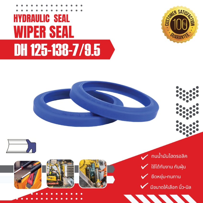 DH 125-138-7/9.5 ซีลกันฝุ่น,ซีลรูดฝุ่น,ซีลกวาดฝุ่น