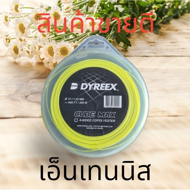 DYREEX :CUBE MAX ขนาด 17/1.25mm /656/200MM 4 -SIDED COLYYESTER