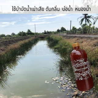 INSAY ORGANIC จุลินทรีย์ ใช้บำบัดน้ำ ดับกลิ่น ปรับสภาพน้ำ ย่อยสลาย สำหรับเลี้ยงปลา กุ้ง