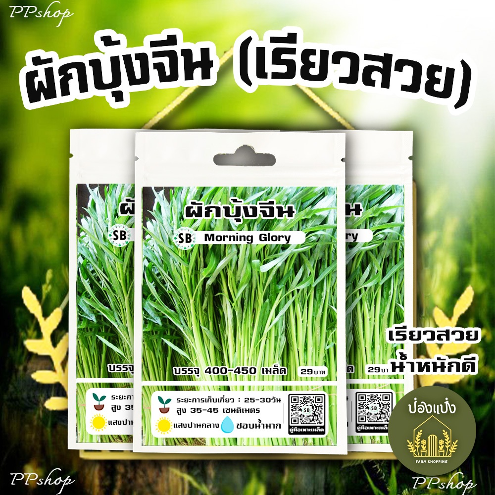 เมล็ดผักบุ้งจีน เรียวสวย-โตเร็ว-กินอร่อย [400-450 เมล็ด/ซอง] // PPshops