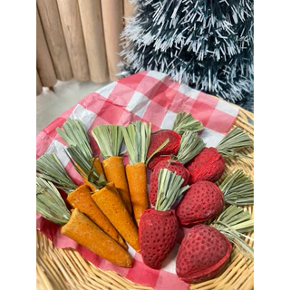 Chintrovert ✨|| สตรอว์เบอร์รี่ 🍓& แครอทลับฟัน🥕 || แฮมเตอร์ ดอร์เมาท์ ชินชิล่า และสัตว์ฟันแทะทุกชนิด