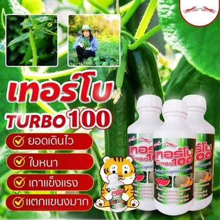 เทอร์โบ 100 ตราเสือคู่ สำหรับพืชเถาเลื้อย ลูกใหญ่ผลดก ยอดเดินไว เถาอวบแข็งแรง