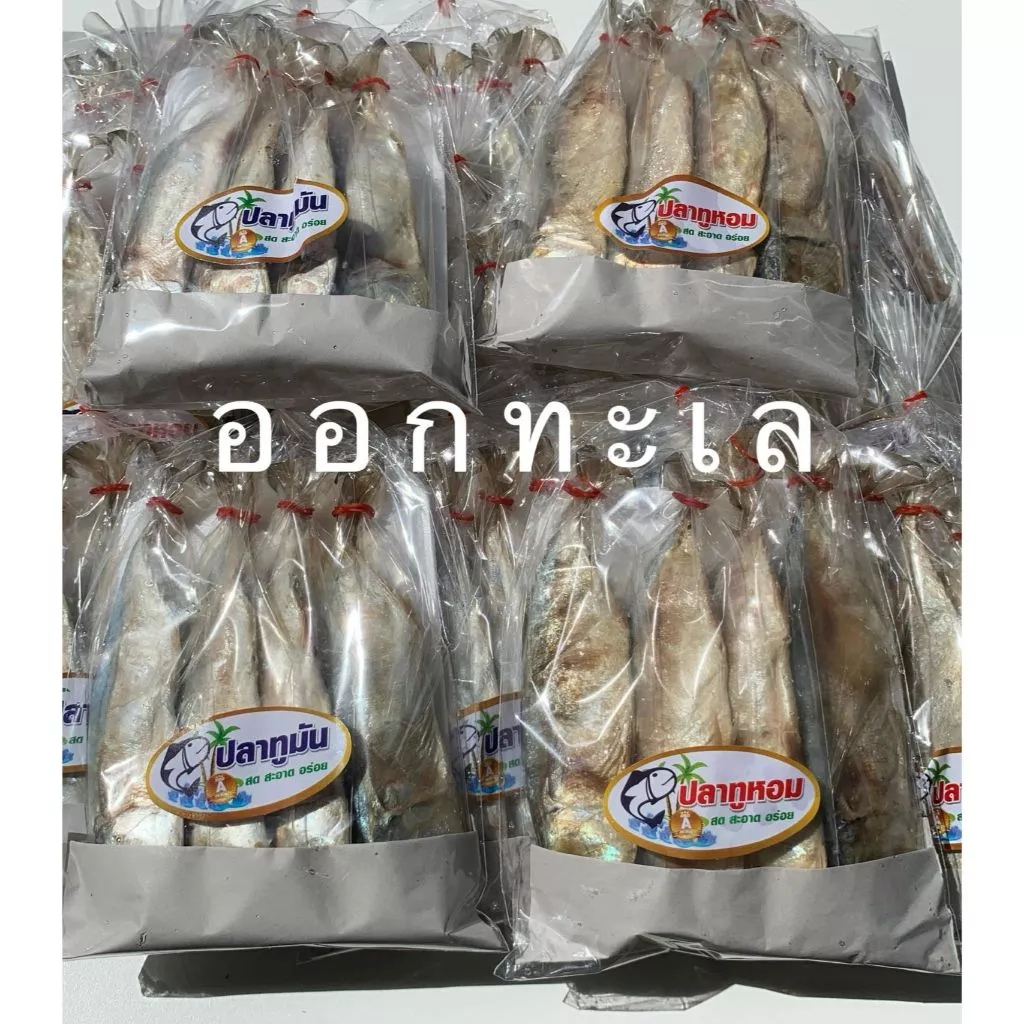 ปลาทูหอม ปลาทูมัน 4 ตัว ขนาดกำลังดี ทอดง่าย ย่างง่าย อร่อยมาก
