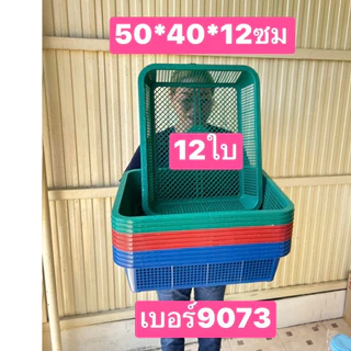 12ใบ ขนาดในรูปครับ กระบะพลาสติก ตะกร้าพลาสติก ตะแกรง ถาดปลูกผัก ตะกร้าใส่ของ ถาดเพาะถั่วงอก ตะแกรงใหญ่