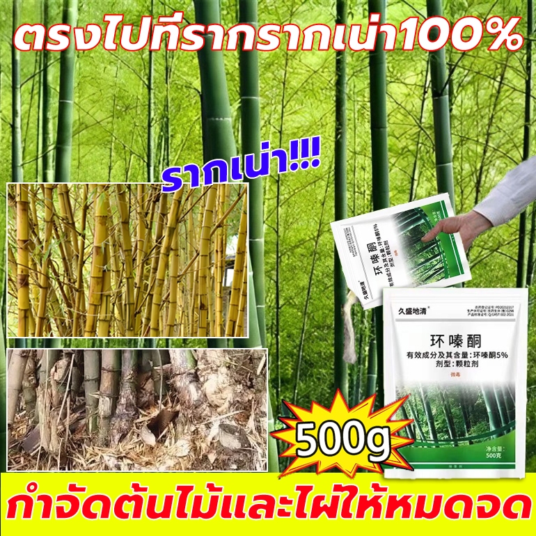 【โรยยา1วัน กอไผ่ทั้งหมดทำลายราก】 เฮกซาซิโนน 5%500g ผงกำจัดต้นไผ่ บอกลาการตัดต้นไม้ด้วยตนเองเม็ดกำจัดต้นไม สารฆ่ากอไผ่