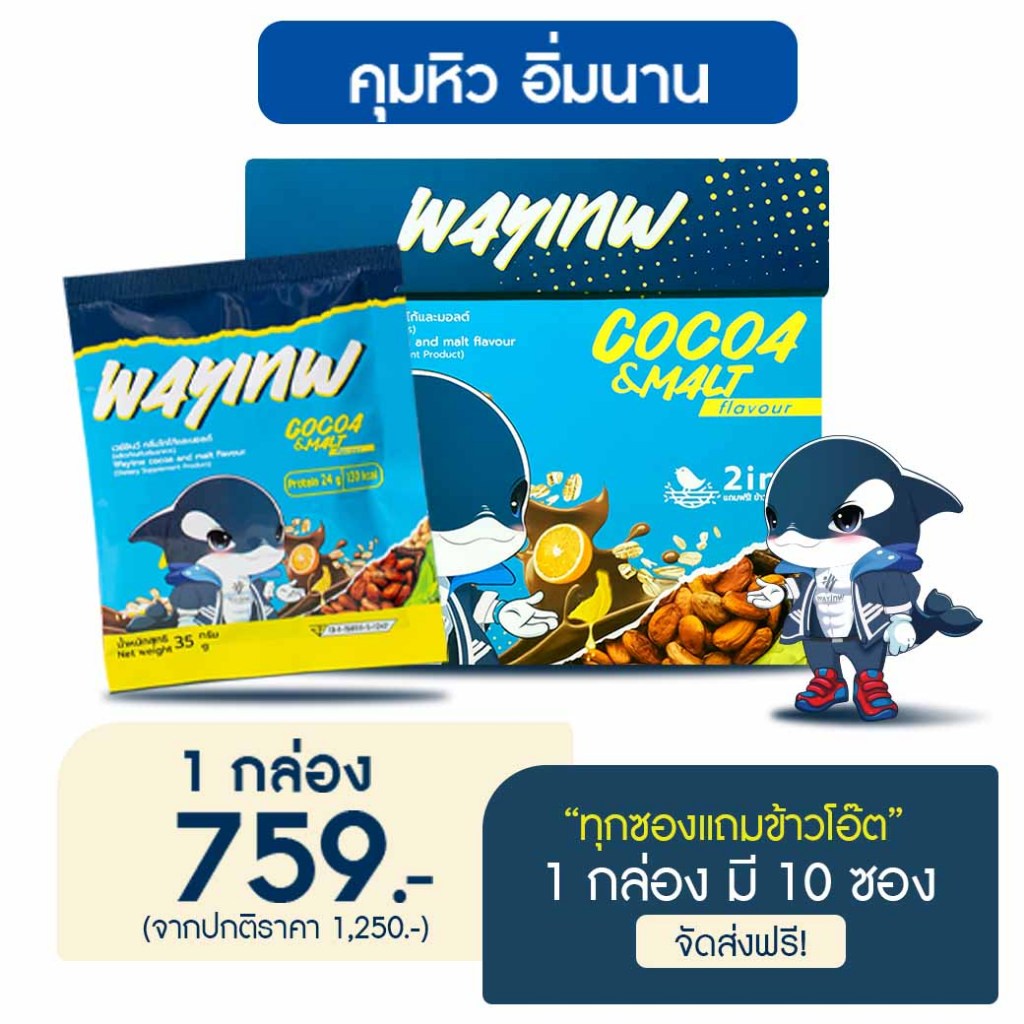 Wayinw Plantbase Protein With Oats - เวย์อินว์ “เวย์เทพ” 1 กล่อง