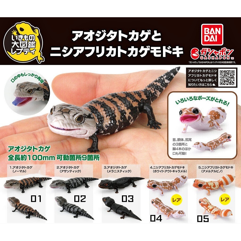 (มีของพร้อมส่ง) กาชาปองจิ้งเหลนบลูทั้งค์-ตุ๊กแกหางอ้วน Gashapon Bandai Ikimono Blue-tongued Skink Fat-Tailed Gecko Mini