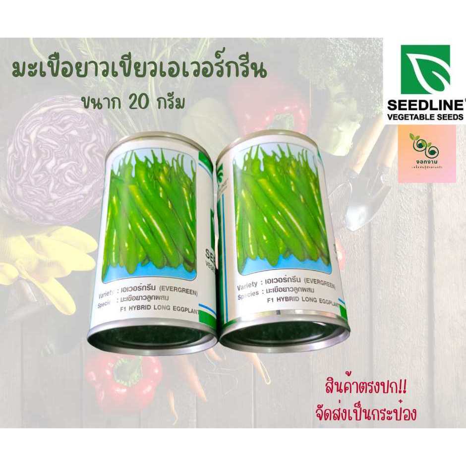 มะเขือยาวเขียวเอเวอร์กรีน ขนาด 20 กรัม