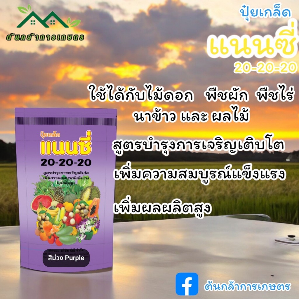 แนนซี่ ปุ๋ย เกล็ด 20 20 20