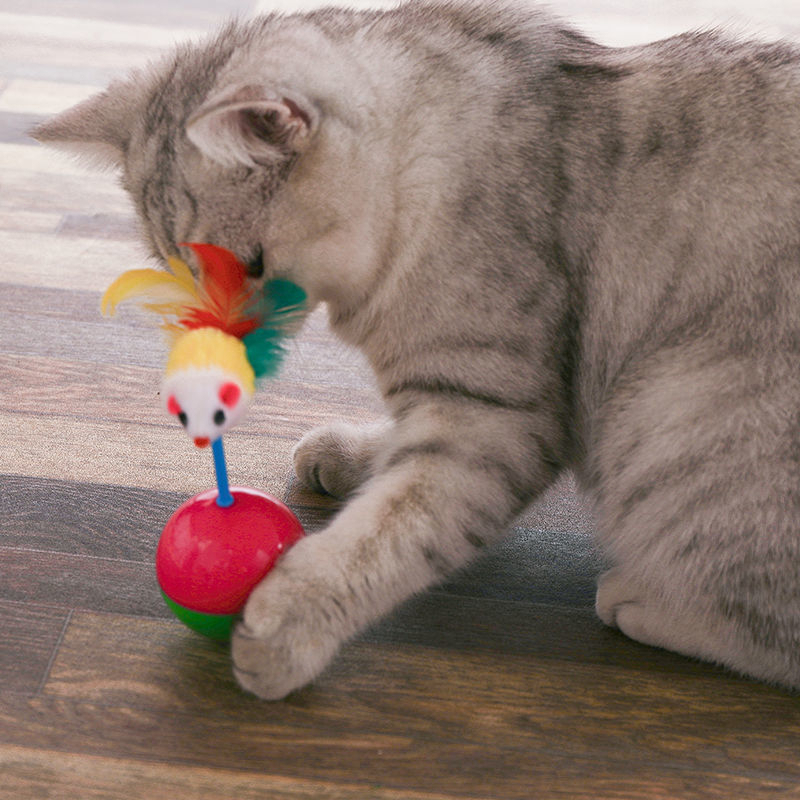 ลูกบอลล้มลุก หนูล้มลุก ของเล่นแมว บอลกรงหนู บอลของเล่นแมว