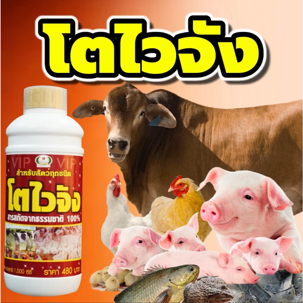 ส่งฟรี✨ อาหารเสริมสัตว์ โตไวจัง (ร้านใหม่) 🔥โปรแถมเสื้อ🔥 เร่งโต กบ ปลา สัตว์น้ำทุกชนิด