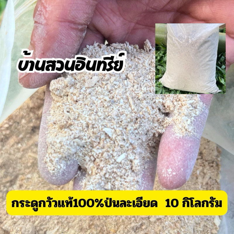 กระดูกป่นแท้ละเอียดแท้ 100% ขนาด 10กิโลกรัม (สั่งทีละไม่เกิน20กก./ออเดอ)เสริมแร่ธาตุบำรุงดินใช้ได้ทั้งพืชสวนและพืชดอก