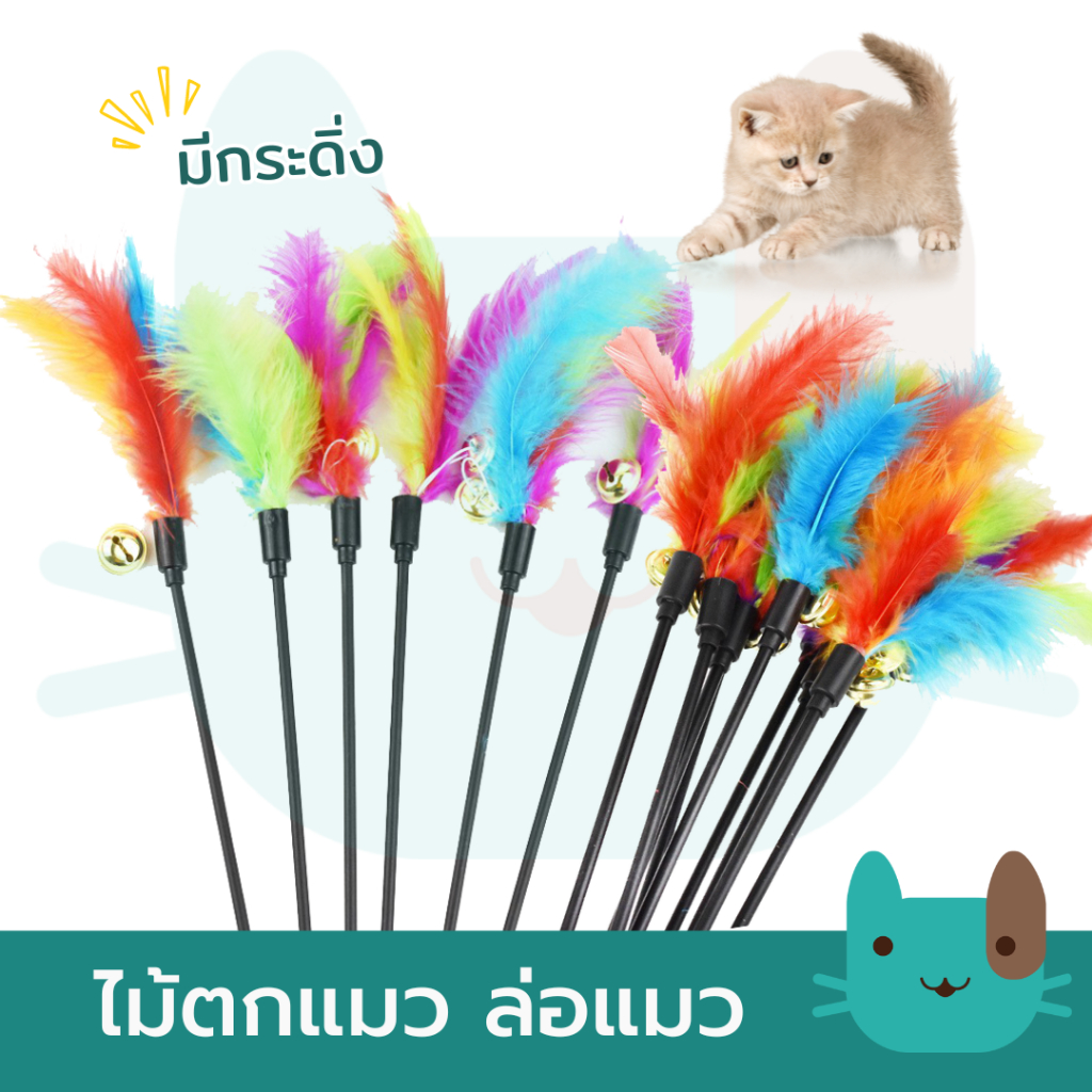 ไม้ตกแมว ขนนก(มีกระดิ่ง) (ไม้ตกแมวขนนก ไม้ล่อแมว
