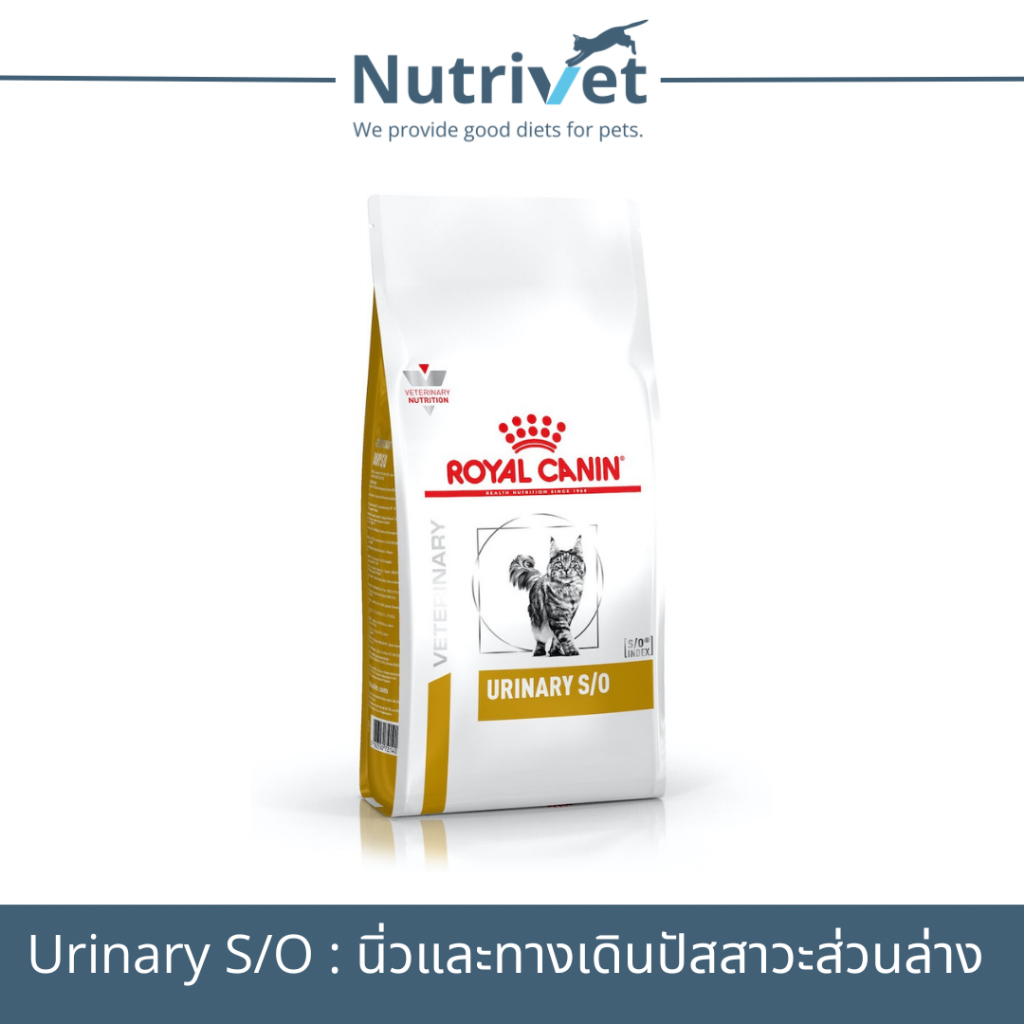 (Exp.26/08/25.)Royal Canin Urinary s/o 3.5 kg แมวโรคนิ่ว และ ทางเดินปัสสาวะส่วนล่าง