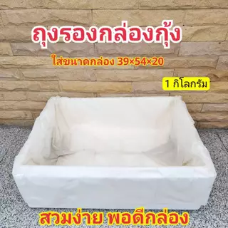 ถุงรองกล่องกุ้ง ถุงรองกล่องโฟม ถุงขาวรองกล่องโฟม ปลูกผักไฮโดรโปนิกส์ ขนาดพอดีกล่อง 10กก.แบน ไม่ต้องมัด