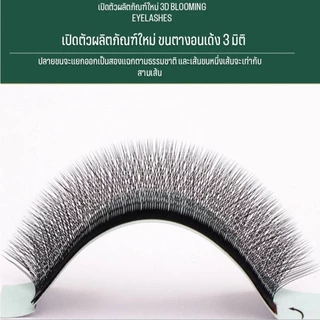 ขนตาปลอมแบบหนา รูปทรงตัว W สำหรับต่อขนตา นุ่มพิเศษ ไม่หลุดร่วง โค้งงอเป็นรูปตัว D หรือตัว C ที่โคน บานสวยทันที 3DW005CD