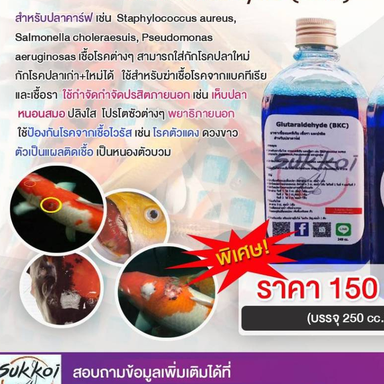 ปรับสภาพน้ำ ฆ่าเชื้อแบคทีเรียภายนอก ปลอดภัยต่อสัตว์น้ำ 100%