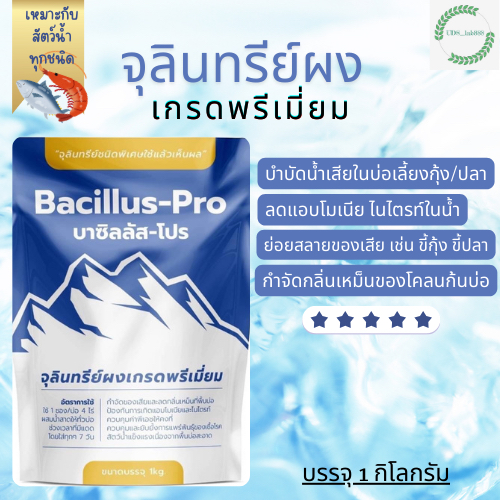 บาซิลลัส โปร (Bacillus Pro) จุลินทรีย์ผงเกรดพรีเมียม บำบัดน้ำเสีย ลดกลิ่นเหม็น กำจัดของเสียในบ่อเลี้ยงสัตว์น้ำ