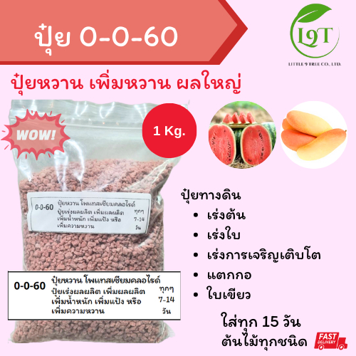 ปุ๋ย 0-0-60 ปุ๋ยหวาน ถุงแบ่ง 1 kg. ไม้ผล เพิ่มผลใหญ่ เร่งแป้ง บำรุงราก หาอาหารเก่ง