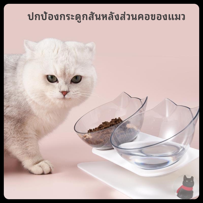 ซื้อ ชามอาหารสัตว์เลี้ยง แมว สุนัข ชุดคู่แบบเอียงรองรับสรีระของสัตว์เลี้ยง