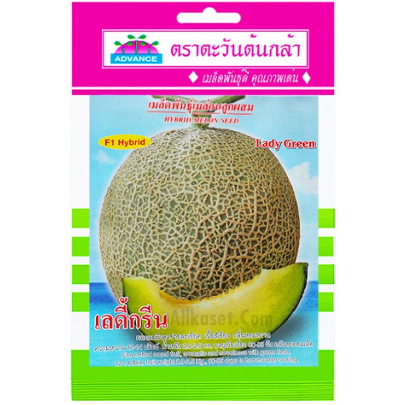 เมล็ดเมล่อนลูกผสม เลดี้กรีน