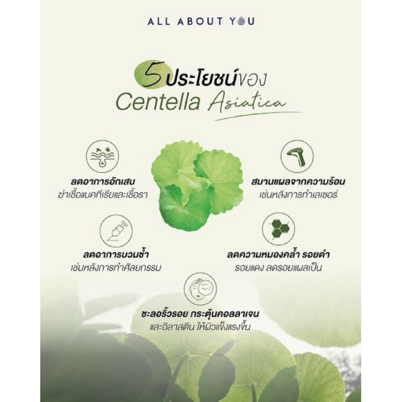 Centella Asiatica ใบบัวบก ลดอาการฟกช้ำ ลดสิวอักเสบ 60 แคปซูล ของแท้ พร้อมส่ง ราคา ถูกที่สุด ดีลบีเคเค แกลเลอรีภาพที่ 2