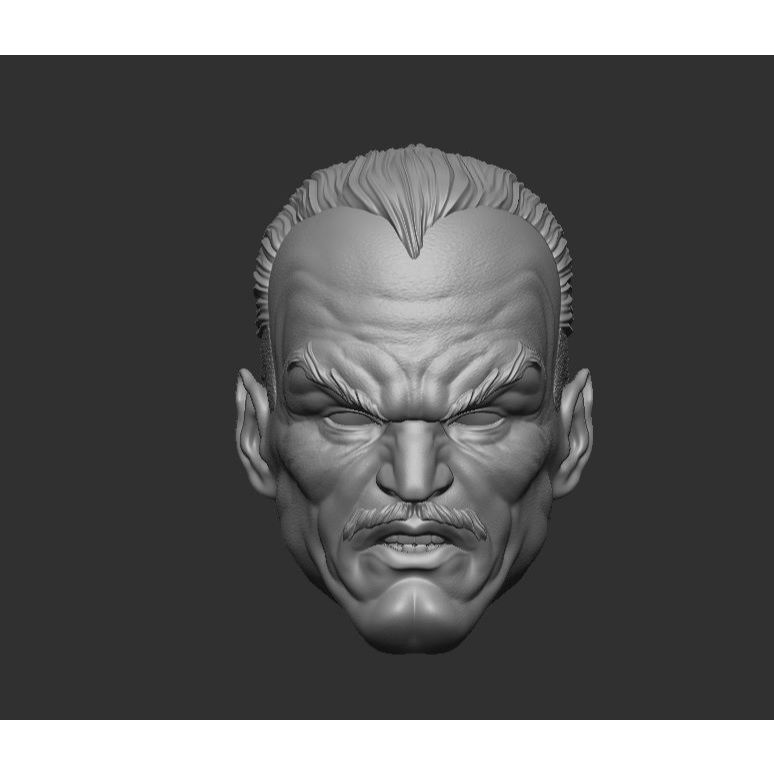 Sinestro - Headsculpt for Action Figures 3D print model 3D print model