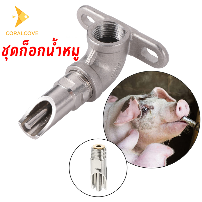 coralcoveshop ชุดก็อกน้ำหมู ก็อกน้ำหมู ข้อต่อก็อกน้ำหมู ก็อกหมูกินน้ำ ขนาด 1/2 นิ้ว อัตโนมัติ