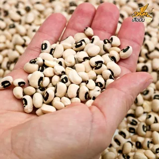 ถั่วขาวดิบ 500 กรัม ตราเสือบิน | (ฺBlack Eyed Peas)
