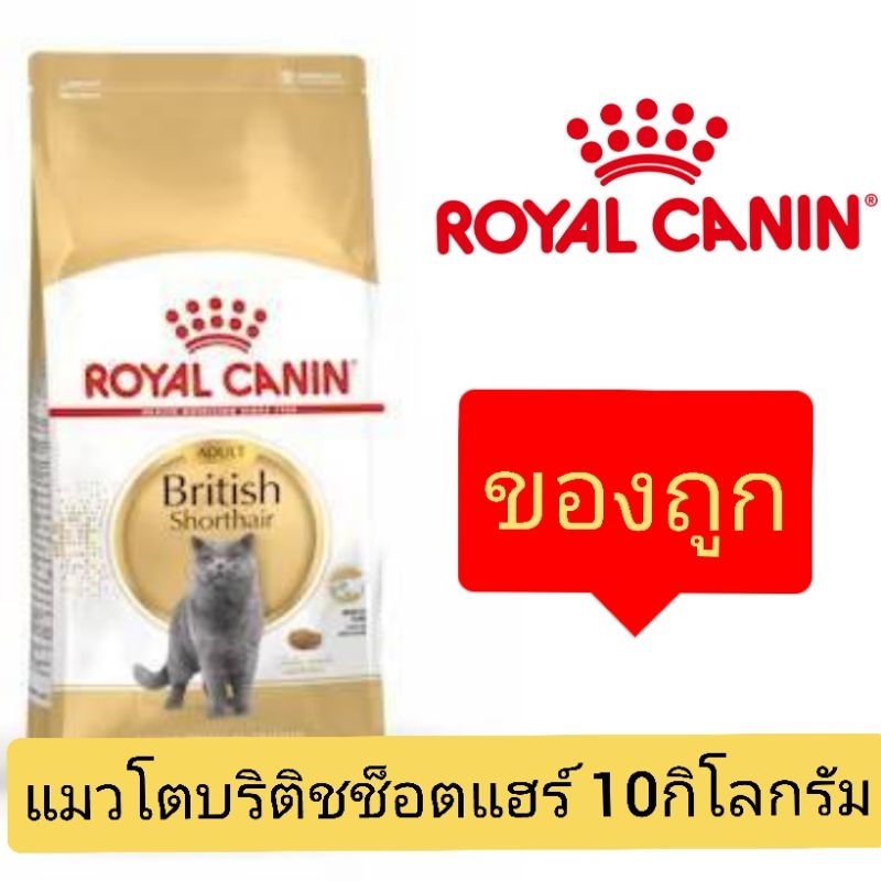 [กระสอบ10kg] Royal Canin British Shorthair สำหรับแมวพันธุ์บริติชโต1ปีขึ้นไป ขนาด10กิโลกรัม