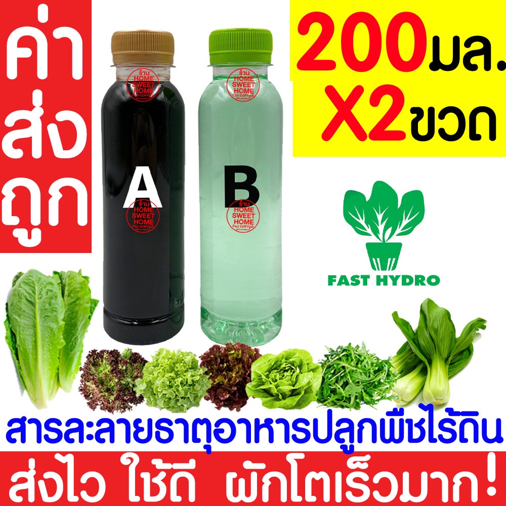*ค่าส่งถูก* สารละลาย AB (200mlx2ขวด)ไฮโดรโปนิกส์ เอบี ธาตุอาหาร ผักไฮโดร Hydroponics ผักสลัด ผักไทย ผักจีน AAA