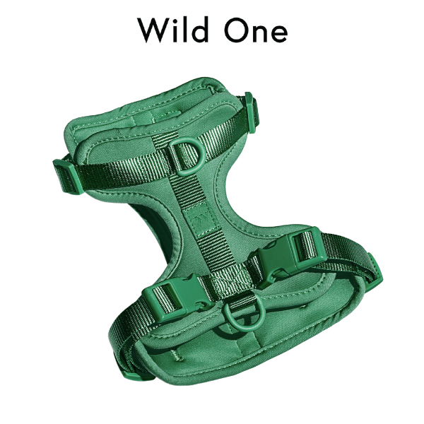 Wild One - Harness สายรัดอกสุนัข │ Spruce 💚