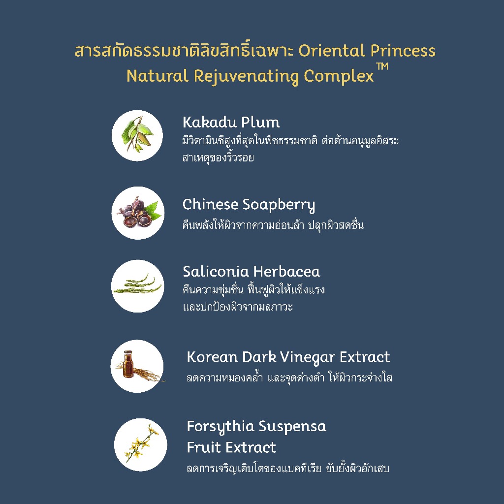 รูปภาพ 5