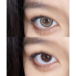MIDROO 🌈MD คอนแทคเลนส์สี บิ๊กอาย สีน้ำตาล ลายสวยๆๆ เลนส์ชนิดนิ่มพิเศษ ใส่สวยสบายตา
