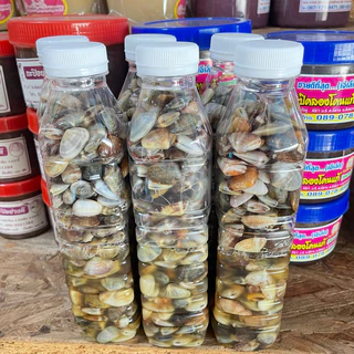 หอยเสียบดองน้ำปลาหวาน (เเบบเค็มหวาน)น้ำหนัก500กรัม