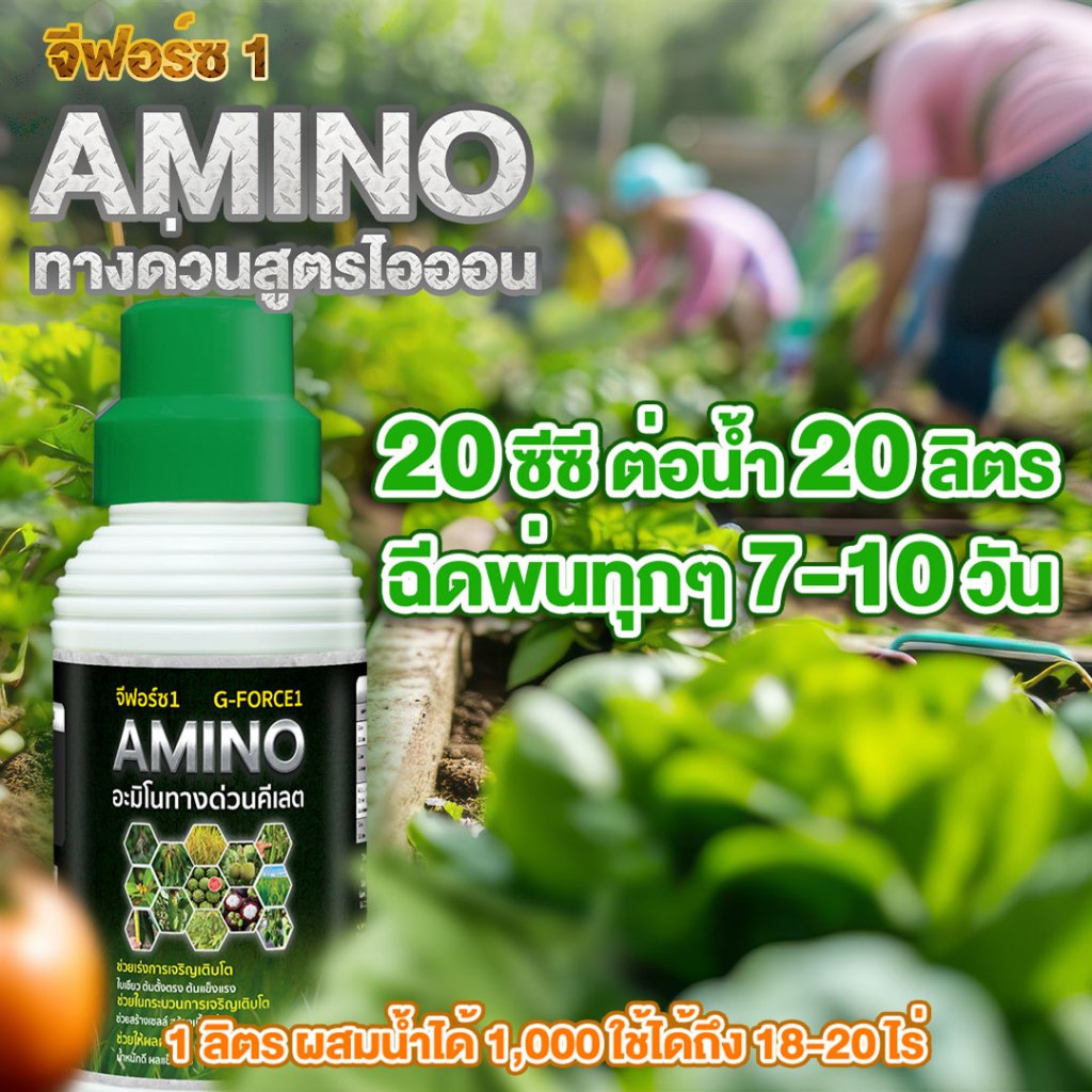 อะมิโนทางด่วนสูตรไอออน ใหม่ล่าสุดเล็กระดับไอออน เล็กกว่าระดับนาโน10เท่า ดูดซึมไว พืชใช้ได้ทันที