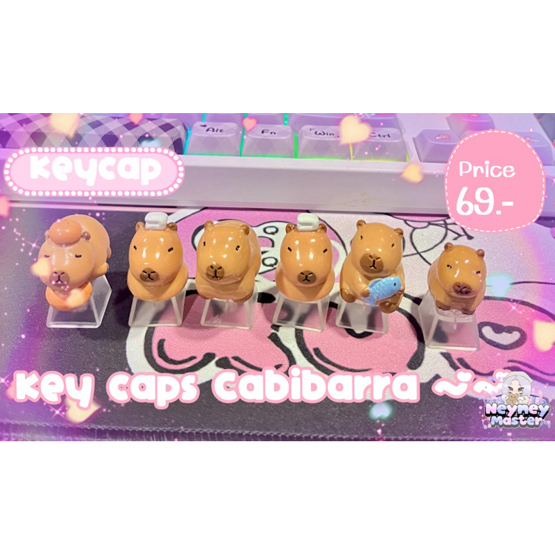 คีย์แคป Keycap Cabibarra ~~
