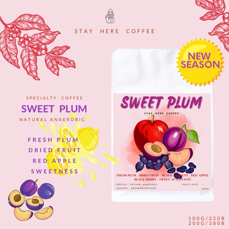 เมล็ดกาแฟคั่วอ่อน Sweet Plum (ฤดูกาลใหม่2026)