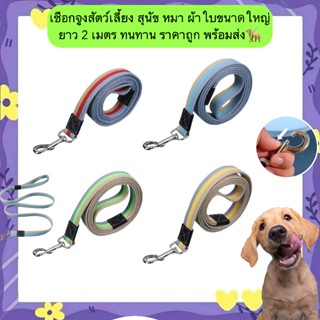 BN-1213 เชือกจูงสัตว์เลี้ยง สุนัข หมา ผ้าใบขนาดใหญ่ ยาว 2 เม…