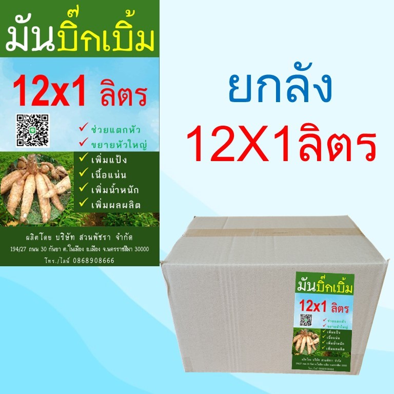 มันบิ๊กเบิ้ม (BB12) ยกลัง 12x1 ลิตร ช่วยแตกหัว ระเบิดหัว ขยายหัวใหญ่ เพิ่มแป้ง เนื้อแน่น เพิ่มน้ำหนัก เพิ่มผลผลิต