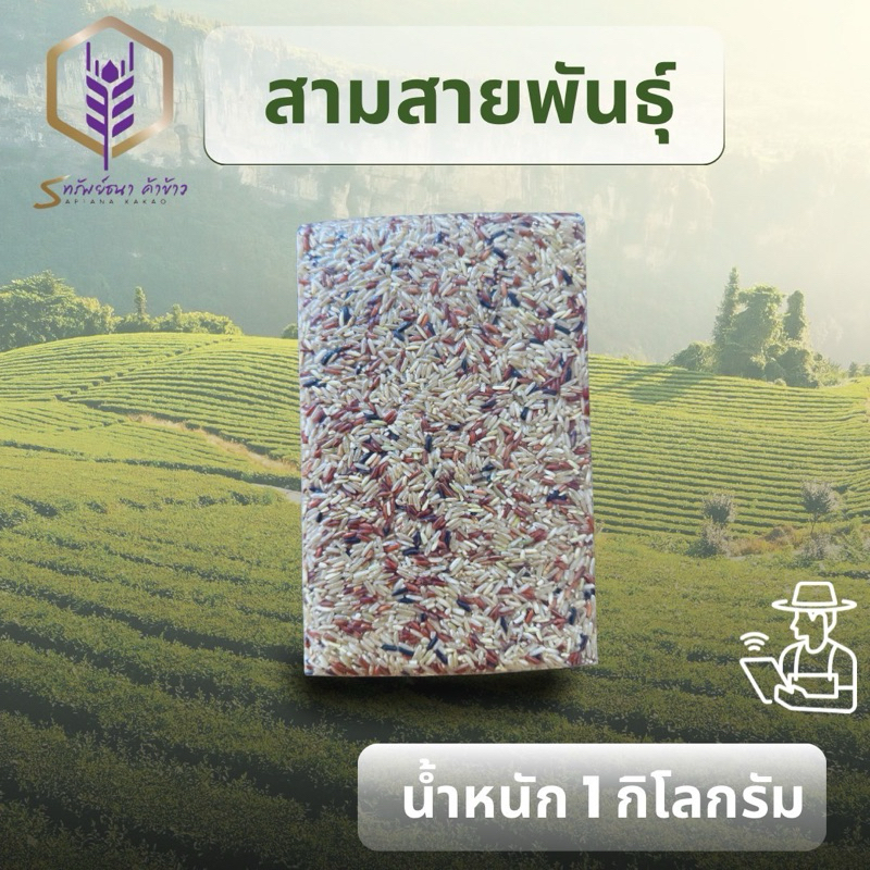 ข้าวกล้องรวม3สายพันธุ์แพค1กิโลกรัม ตราทรัยพ์ธนา