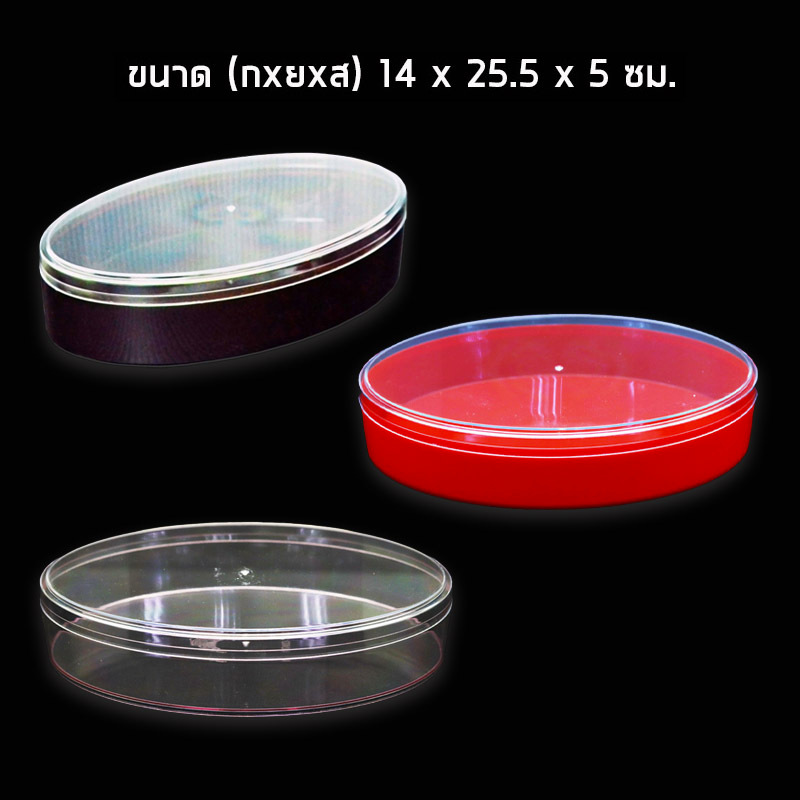 **ยกลัง**กล่องพลาสติก สีชา/สีแดง/ใสอมชมพู (ฝาใส,12ชิ้น) C0311 ตรา CVPPACK