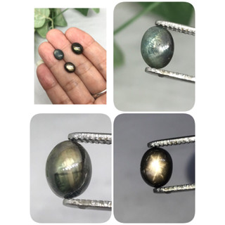 แบลกสตาร์บางกะจะดิบจากจันทบุรีช่วยเสริมพยุงธุรกิจผู้เป็นเจ้า…