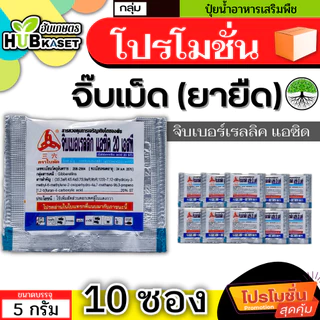 💥💥 สินค้ายกแผง 💥💥 จิ๊บเม็ด 5กรัม*10เม็ด (กรดจิบเบอร์เรลลิคแอซิด) จิ๊บยืดยอด ยืดช่อ ยืดผล