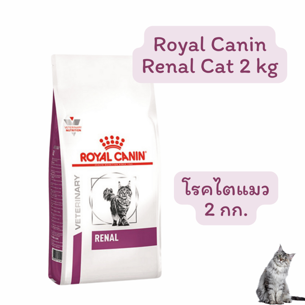 exp06/2027 Royal Canin Renal 2kg อาหารแมว โรคไต ขนาด 2 กิโลกรัม