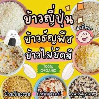 รวมข้าวออแกนิค 100% สำหรับเด็ก 6 เดือนขึ้นไป ข้าวจังหวัดเชียงราย