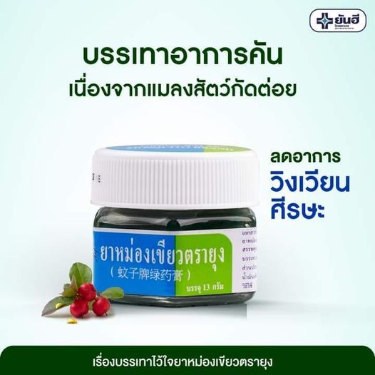 ยันฮี ยาหม่องเขียวตรายุง Yanhee Green Balm Mosquito -okf 13 diy,