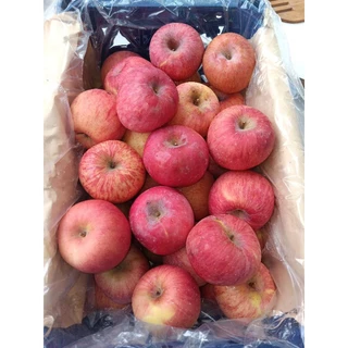 แอปเปิ้ลแคระ🍎สายพันธุ์ฟูจิ🍎1kg.🍎กรอบ อร่อย แอปเปิ้ลไม่ได้แว๊กผิวสีผิวตามธรรมชาติ ต้องลอง size 5-7 ลูก