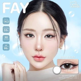คอนแทคเลนส์ Fay Brown / Gray (Kitty Kawaii) ขนาดมินิ 💙