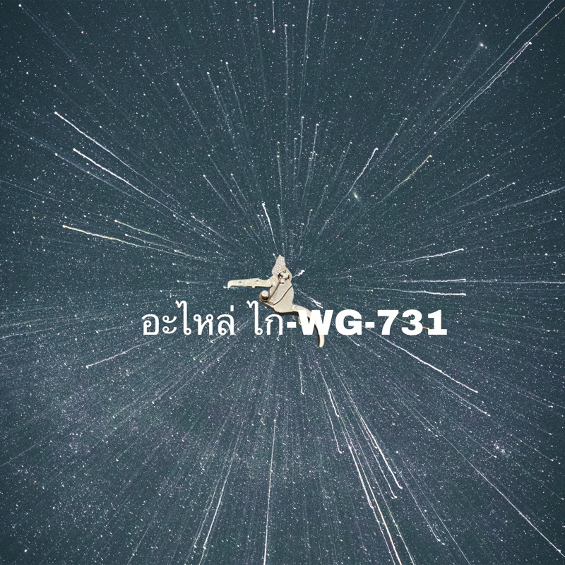 อะไหล่โมเดล WG-73 1 ไก้ 7 31 อะไหล่ ตรงรุ่นร อะไหล่สำรอง สำรอง มาจากโรงงาน
